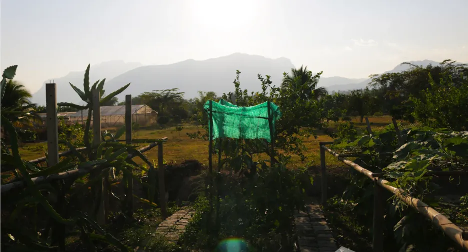 Grundstück zum Kauf in Chiang Dao, Chiang Mai