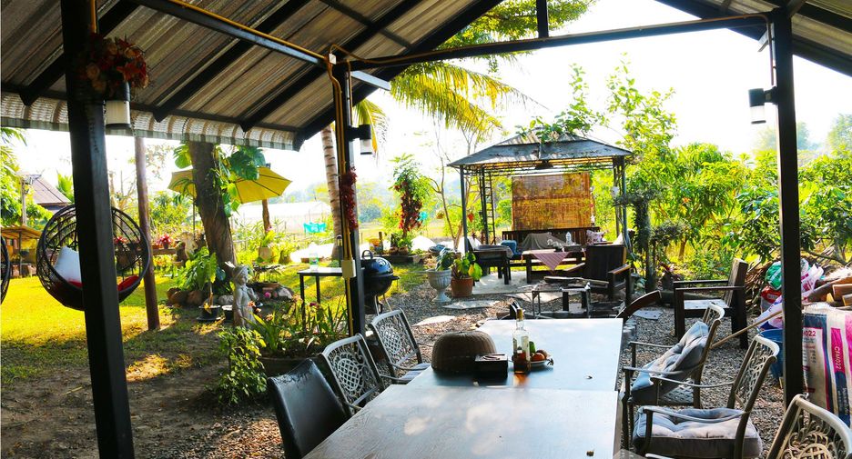 ขาย ที่ดิน ใน เชียงดาว, เชียงใหม่