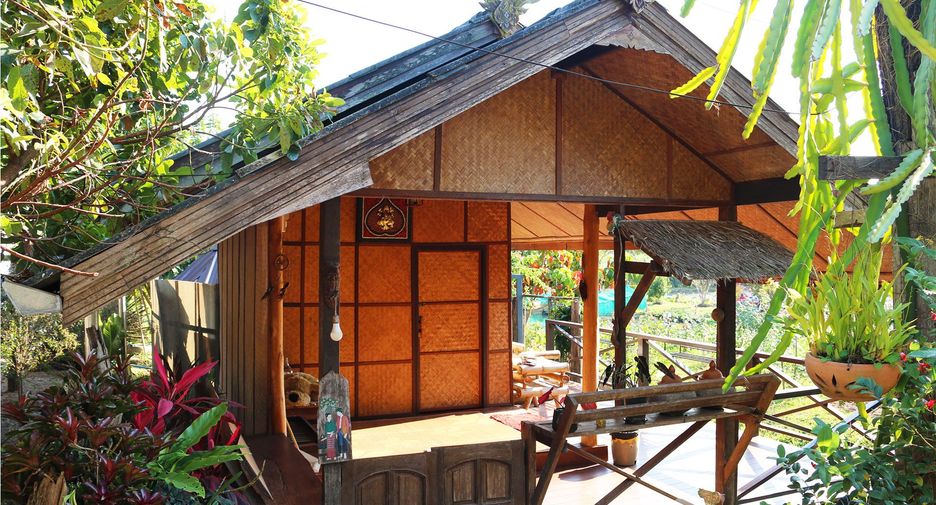 ขาย ที่ดิน ใน เชียงดาว, เชียงใหม่