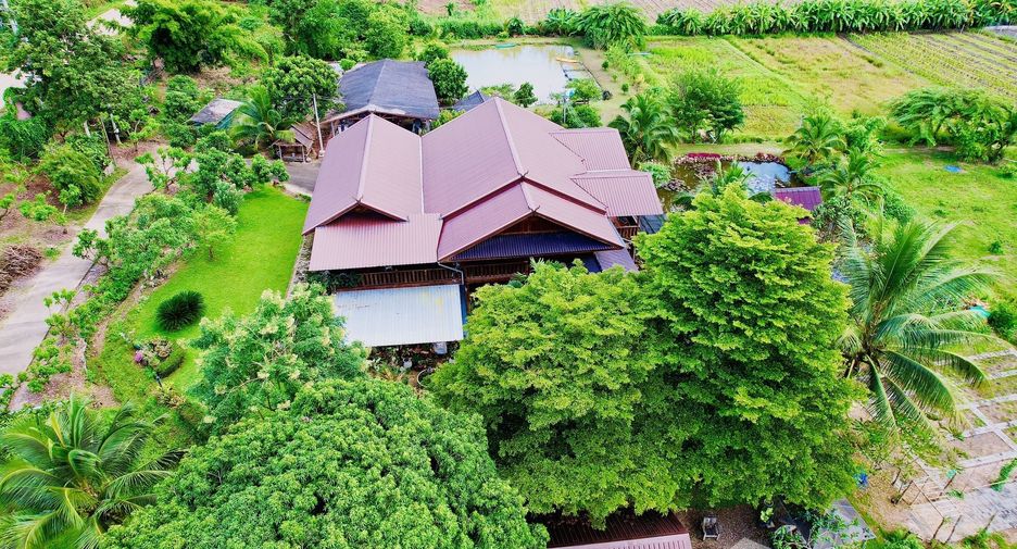 ขาย ที่ดิน ใน เชียงดาว, เชียงใหม่