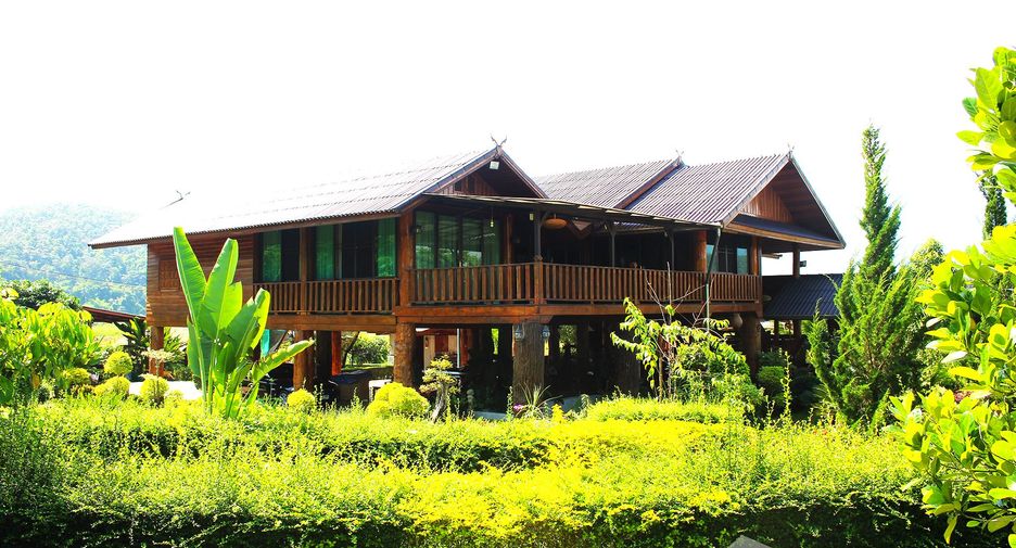 ขาย ที่ดิน ใน เชียงดาว, เชียงใหม่