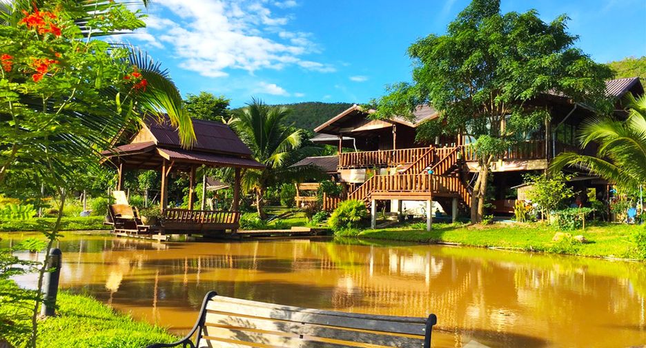 ขาย ที่ดิน ใน เชียงดาว, เชียงใหม่