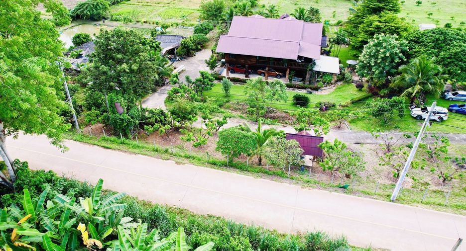 ขาย ที่ดิน ใน เชียงดาว, เชียงใหม่