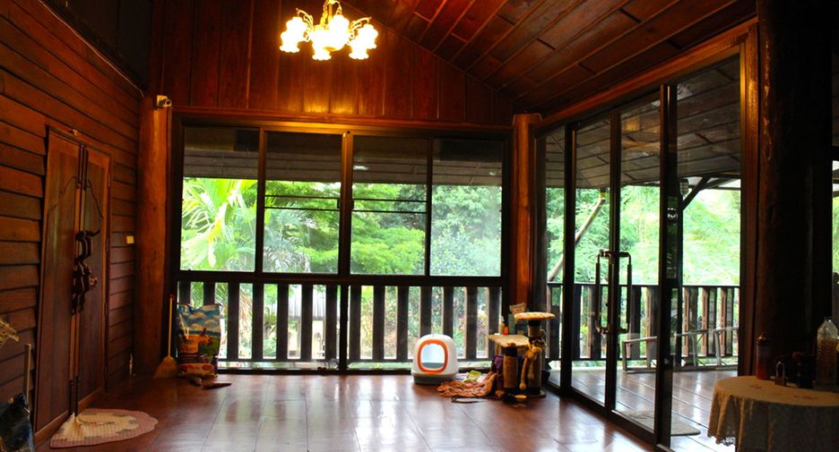 ขาย ที่ดิน ใน เชียงดาว, เชียงใหม่