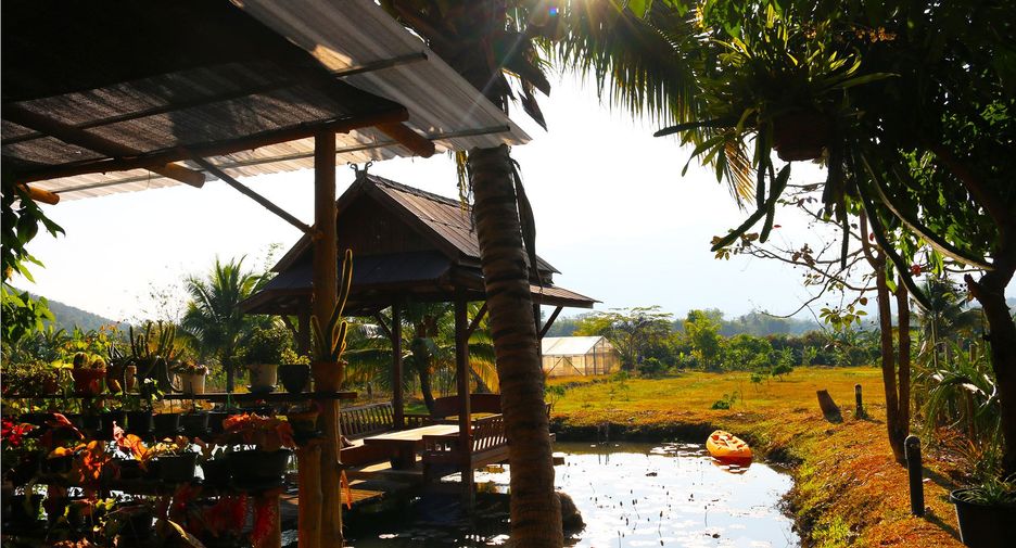 ขาย ที่ดิน ใน เชียงดาว, เชียงใหม่