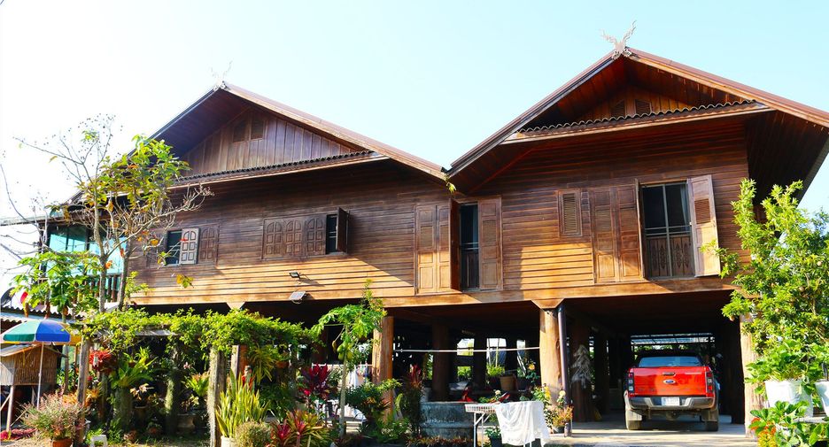 ขาย ที่ดิน ใน เชียงดาว, เชียงใหม่