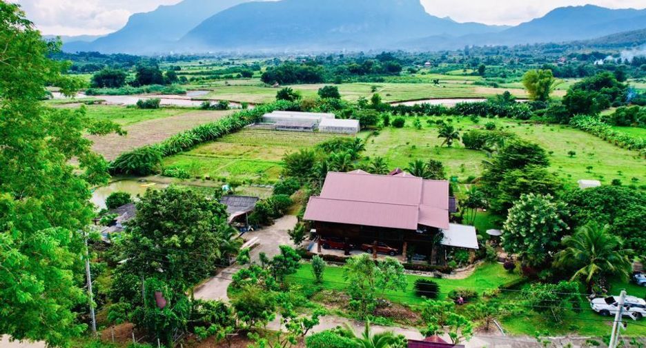 ขาย ที่ดิน ใน เชียงดาว, เชียงใหม่