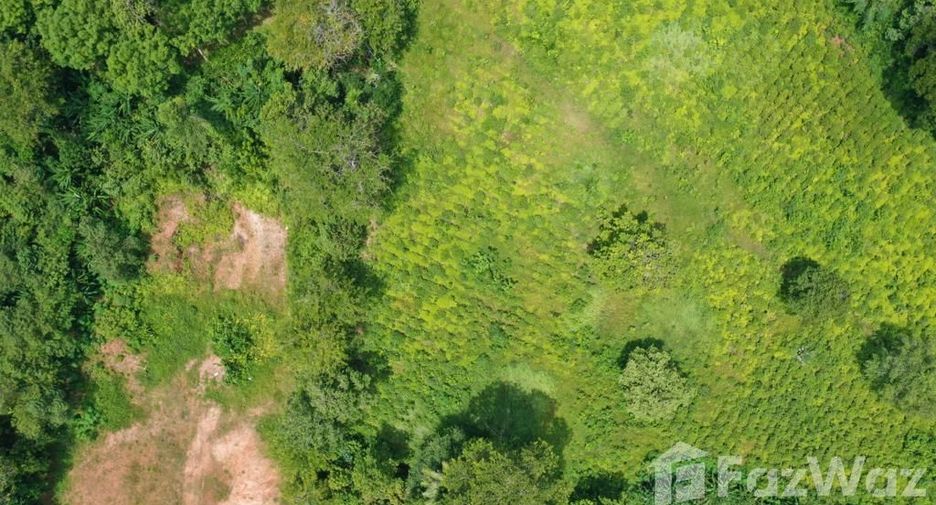 For sale land in Thalang, Phuket
