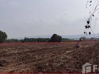 出售 土地 在 Wang Thong, Phitsanulok
