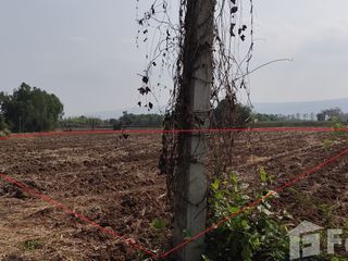 出售 土地 在 Wang Thong, Phitsanulok