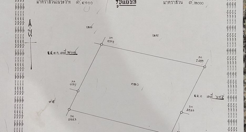 For sale land in Wang Thong, Phitsanulok