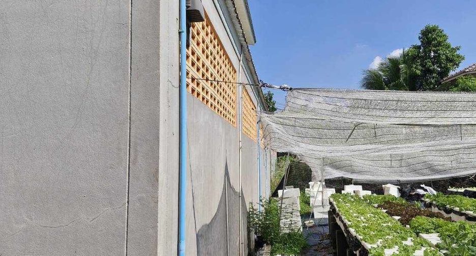 For sale 4 bedrooms townhouse in Plaeng Yao, Chachoengsao