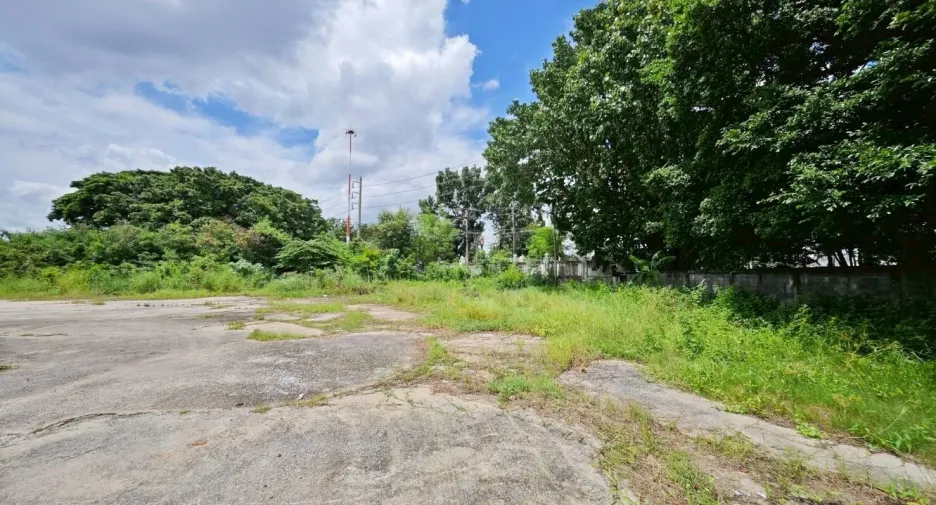 For sale land in Lam Luk Ka, Pathum Thani