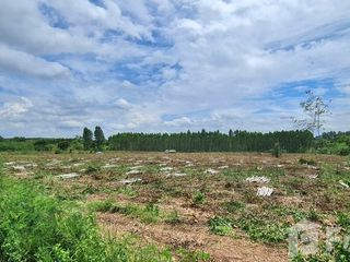 Terreno en venta en Phanat Nikhom, Chonburi