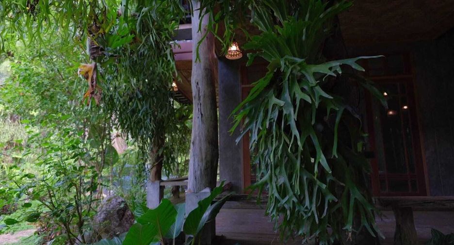 For sale land in Phanom, Surat Thani