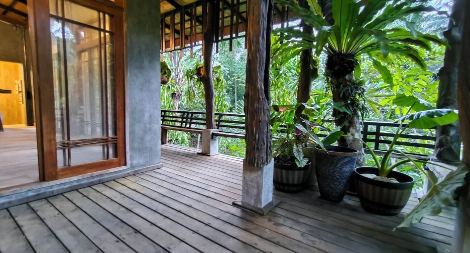 For sale land in Phanom, Surat Thani