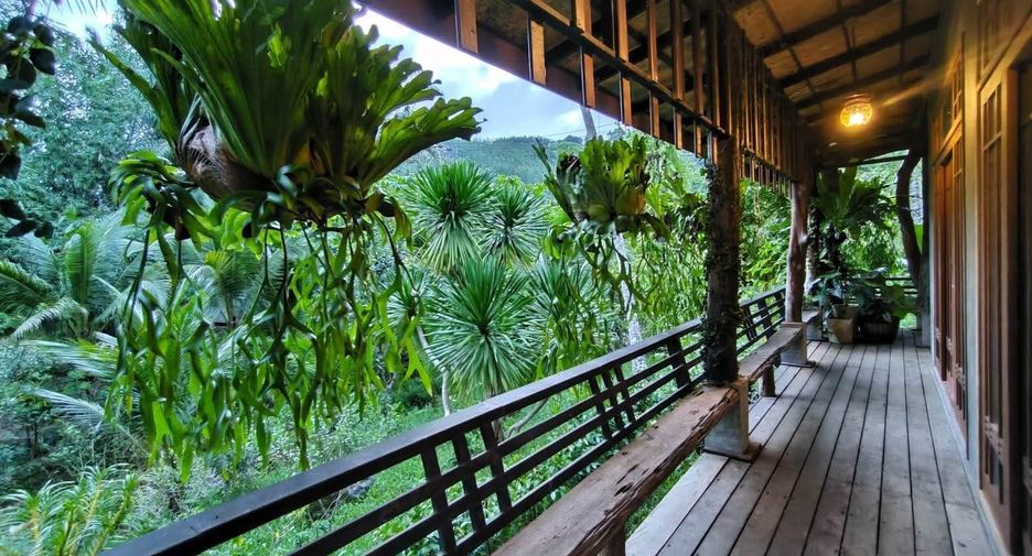 For sale land in Phanom, Surat Thani