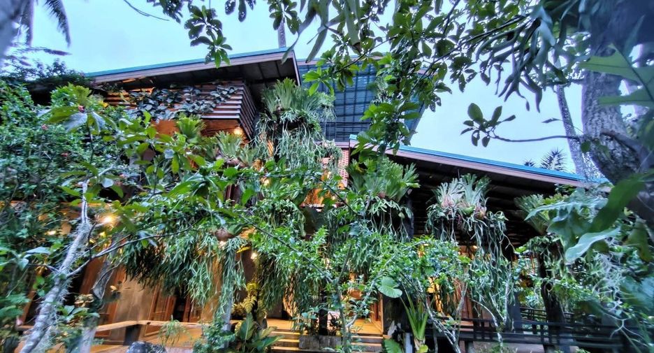 For sale land in Phanom, Surat Thani
