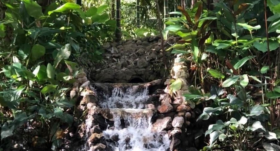 For sale land in Phanom, Surat Thani