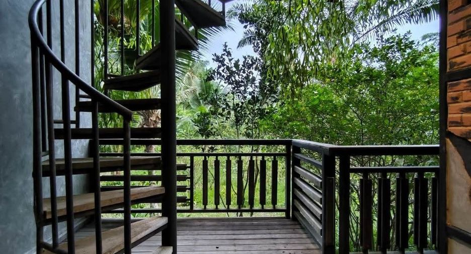 For sale land in Phanom, Surat Thani