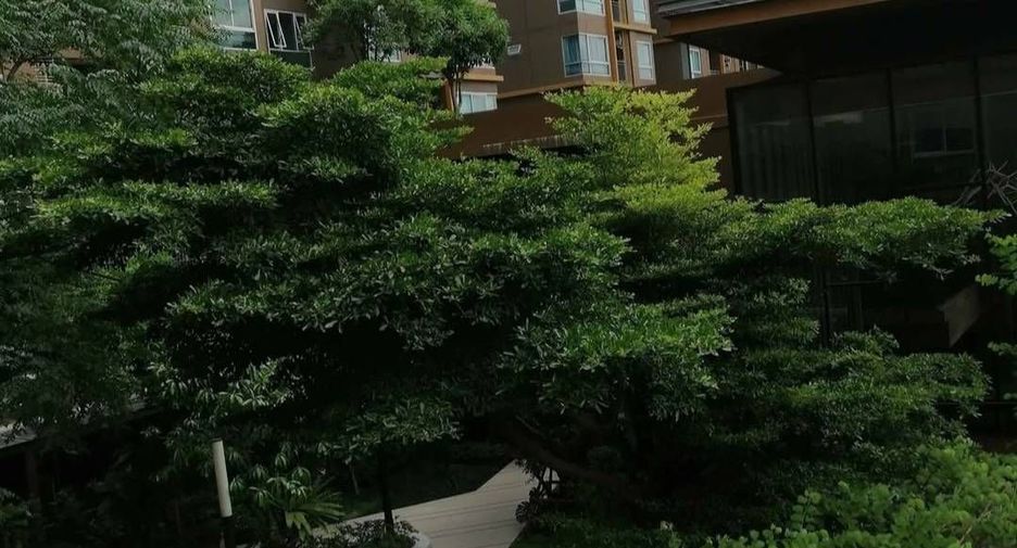 For sale 1 bed condo in Chatuchak, Bangkok