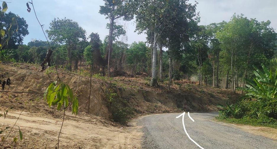 For sale land in Mueang Phuket, Phuket