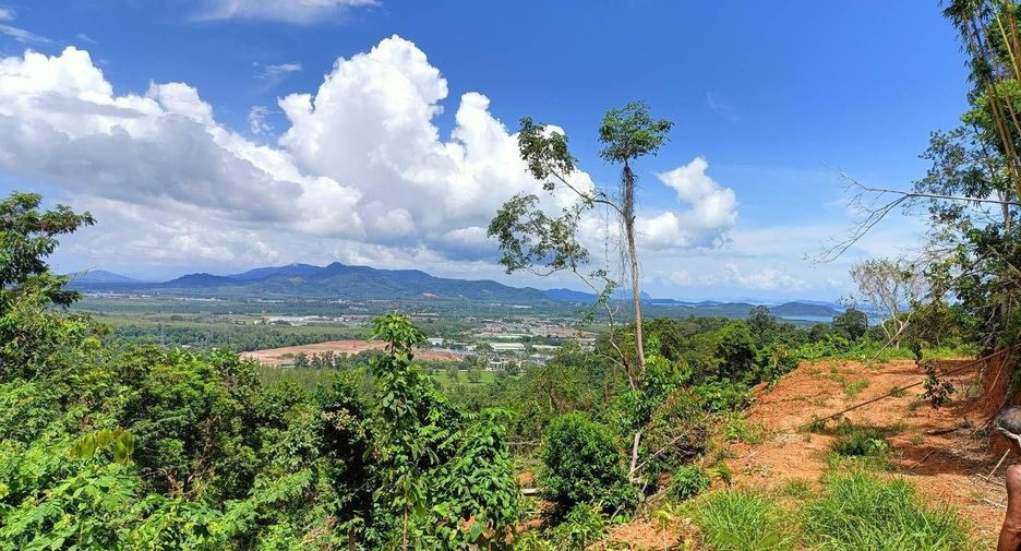 For sale land in Mueang Phuket, Phuket