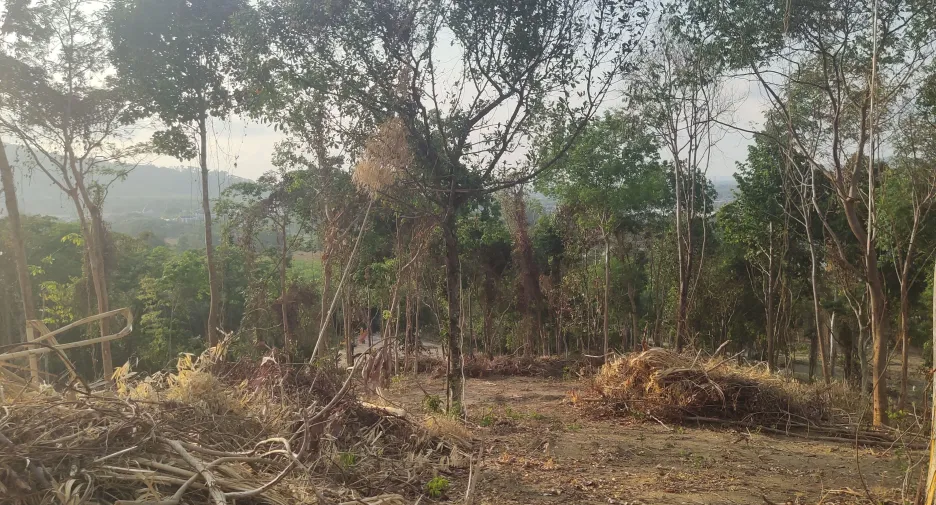For sale land in Mueang Phuket, Phuket