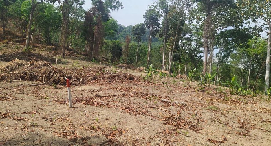 For sale land in Mueang Phuket, Phuket