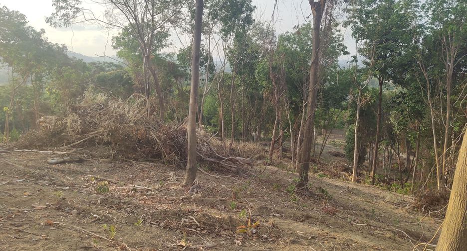 For sale land in Mueang Phuket, Phuket