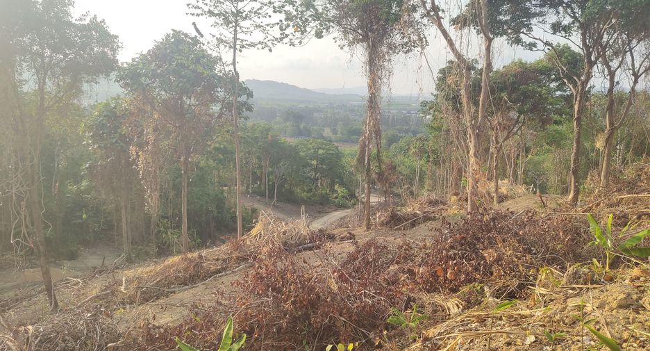 For sale land in Mueang Phuket, Phuket