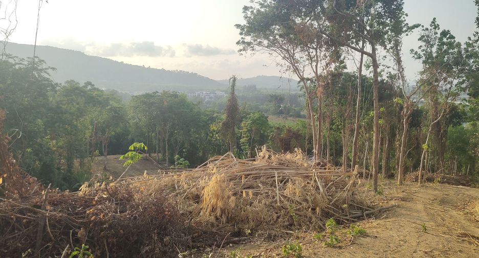For sale land in Mueang Phuket, Phuket