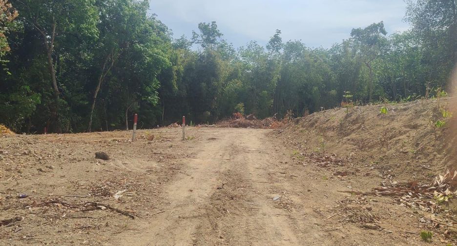 For sale land in Mueang Phuket, Phuket