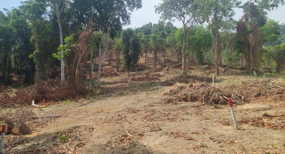For sale land in Mueang Phuket, Phuket