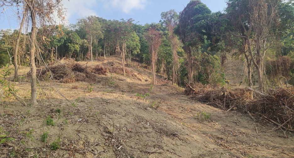For sale land in Mueang Phuket, Phuket