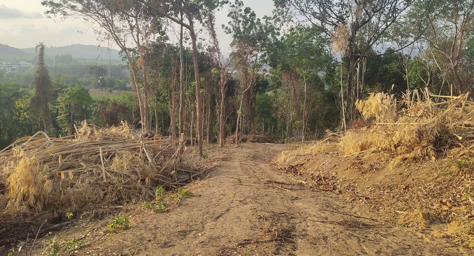 For sale land in Mueang Phuket, Phuket