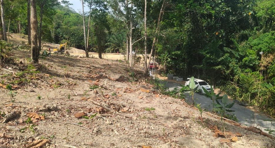 For sale land in Mueang Phuket, Phuket