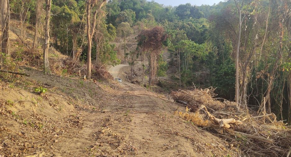 For sale land in Mueang Phuket, Phuket