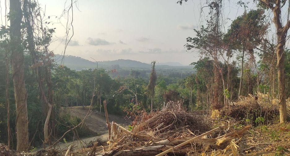 For sale land in Mueang Phuket, Phuket