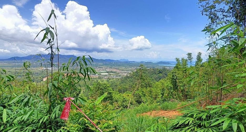 For sale land in Mueang Phuket, Phuket