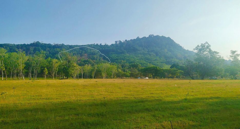 For sale land in Mueang Phuket, Phuket