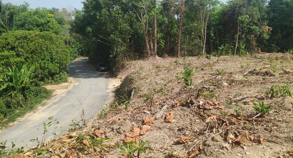 For sale land in Mueang Phuket, Phuket