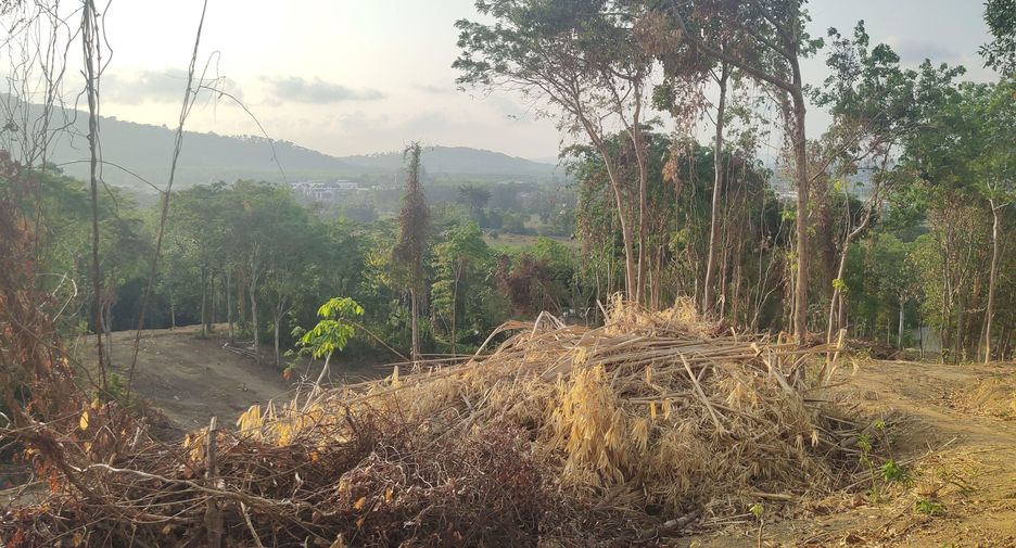 For sale land in Mueang Phuket, Phuket