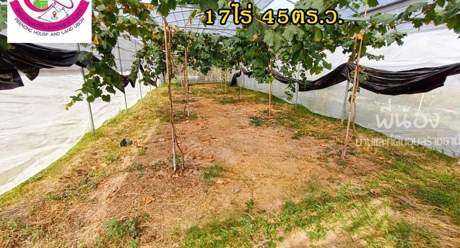 Haus zum Kauf mit 5 Zimmer in Warin Chamrap, Ubon Ratchathani