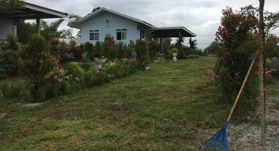 For rent 5 bedrooms house in Dan Sai, Loei
