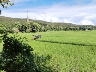 出售 土地 在 Phan, Chiang Rai