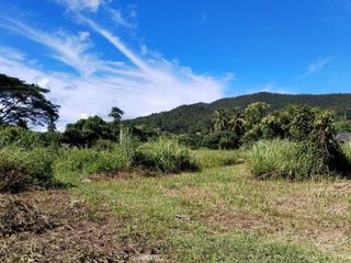 Grundstück zum Kauf in Phan, Chiang Rai