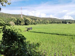 Grundstück zum Kauf in Phan, Chiang Rai