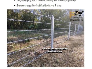 For sale land in Nakhon Luang, Phra Nakhon Si Ayutthaya
