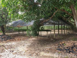 出售 土地 在 Damnoen Saduak, Ratchaburi